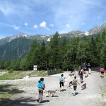 Huskydalen, dog sledging