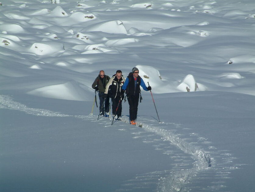 Touring ski