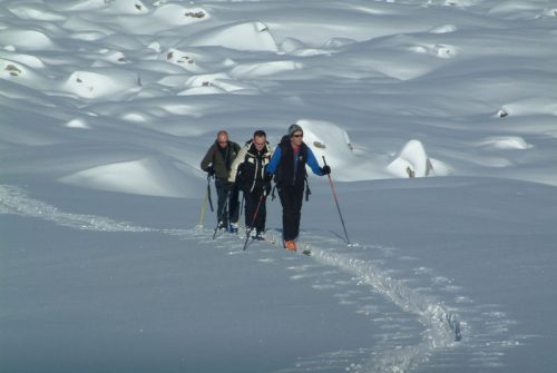 Touring ski