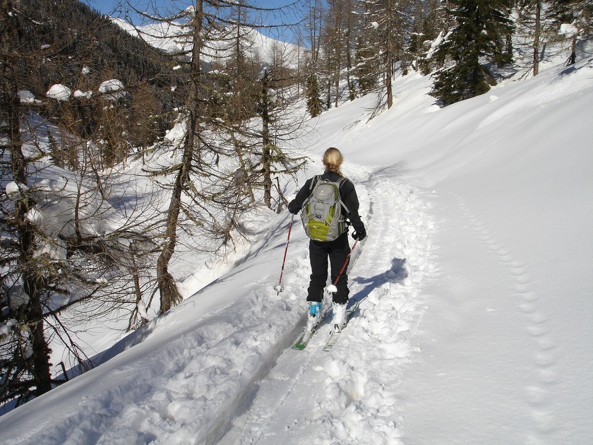 Cross Country Skiing
