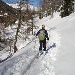 Cross Country Skiing