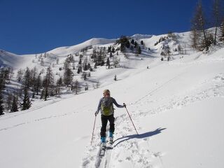 Cross Country Skiing