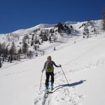 Cross Country Skiing