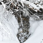 Randonnée glaciaire, Montagne Activités