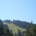 © Half chalet L'Ancolie - 6/8 people next to center and slopes - Annie et Michel MORET