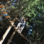 © Mont Favy tree-top adventure park - Office de tourisme Les Carroz