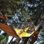 © Mont Favy tree-top adventure park - Office de tourisme Les Carroz