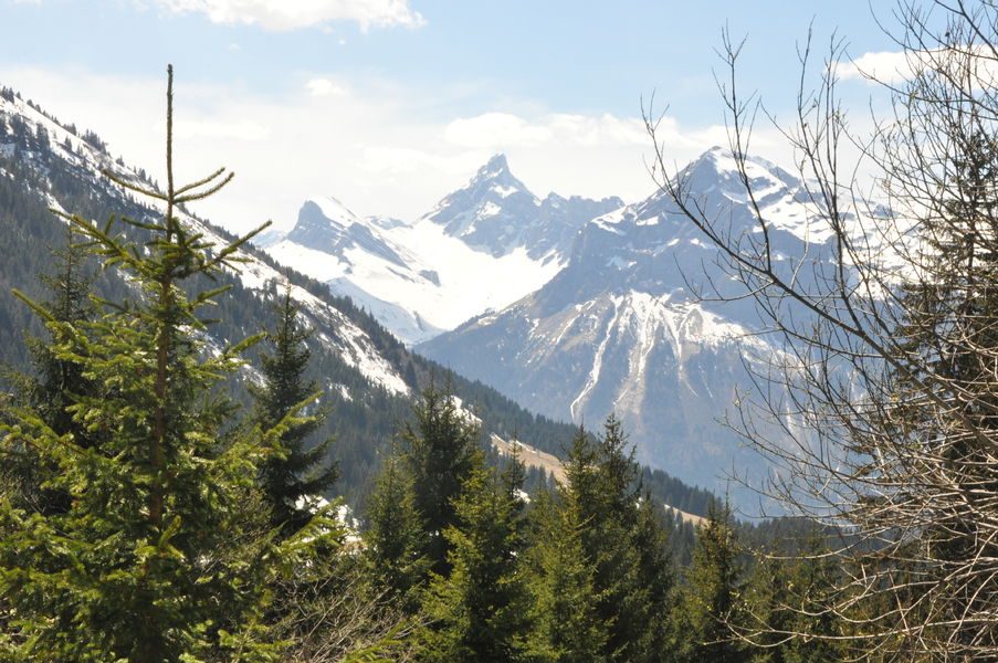 © Panorama sur la Pointe Percée - OT Les Carroz