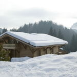 © Le chalet en hiver - Roux