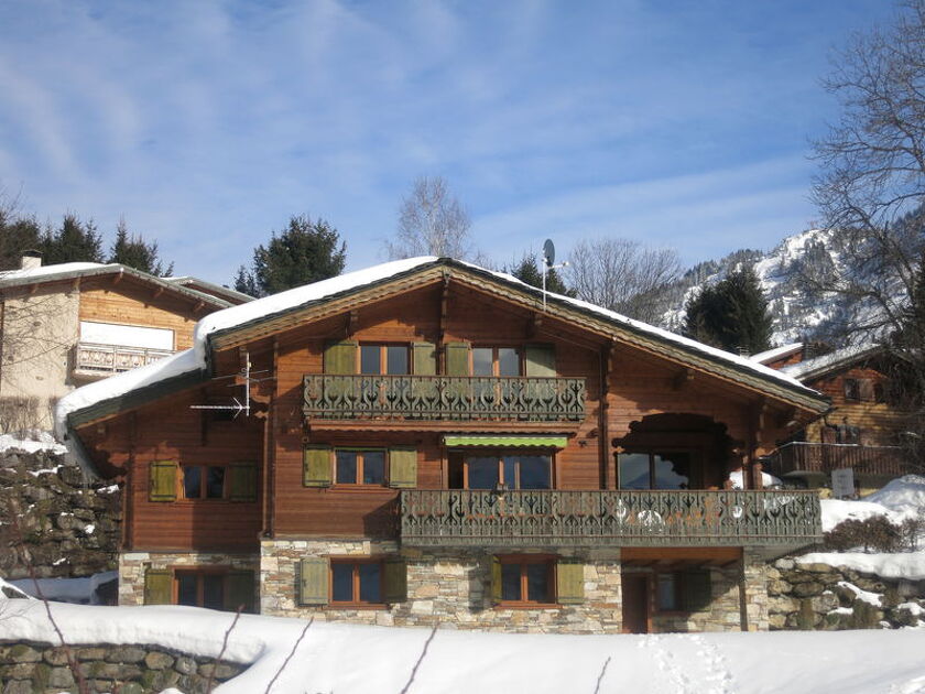 3-room appartment 1st floor in a chalet - Les Feux