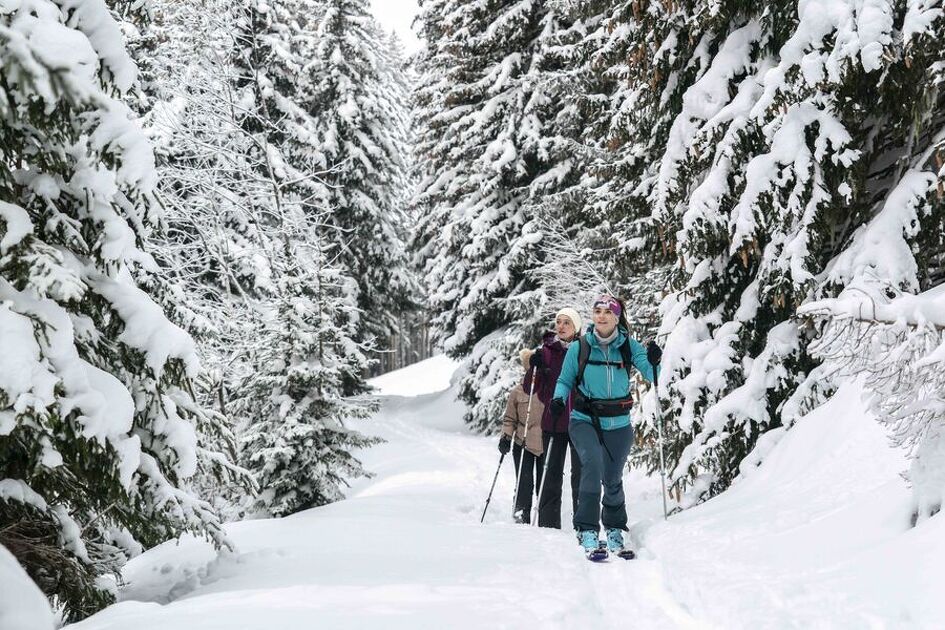 © Combe Biollaire - Avonds Ski touring - @Millo Moravski