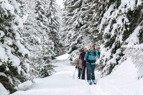 Itinéraire de ski de randonnée de soirée - Combe biollaire