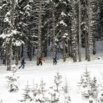 © Combe Biollaire - Nocturnal Ski touring - @Millo Moravski