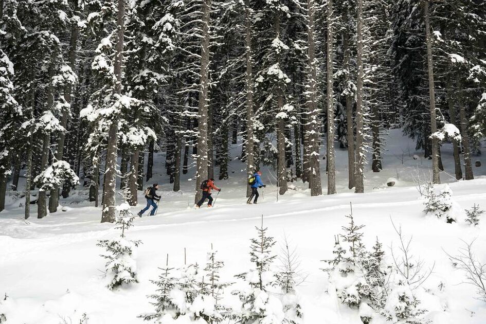 © Activité hiver ski de rando - @Millo Moravski