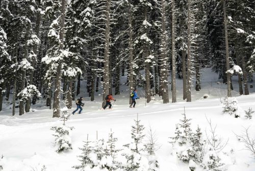Ski touring: La croix des 7 frères