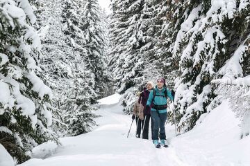 © Activité hiver ski de rando - @Millo Moravski