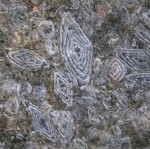 © Tête de Bostan - P.Guilhot