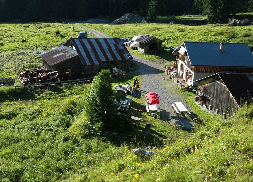 © De Alpen oversteken - GR 5 - Chardonnière - Samoëns - Refuge de Chardonnières