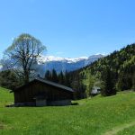 Les Molliets to Haute Combe and Sarbotte