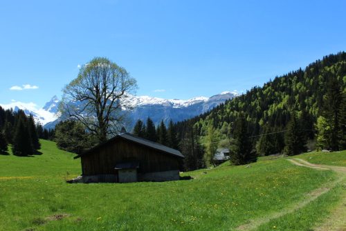 Les Molliets to Haute Combe and Sarbotte