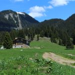 Les Molliets to Haute Combe and Sarbotte