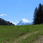 Les Molliets to Haute Combe and Sarbotte