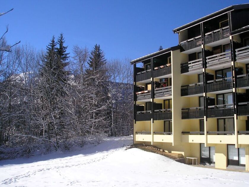 © Le Pré du Bois - Studio cabin - OUDIN