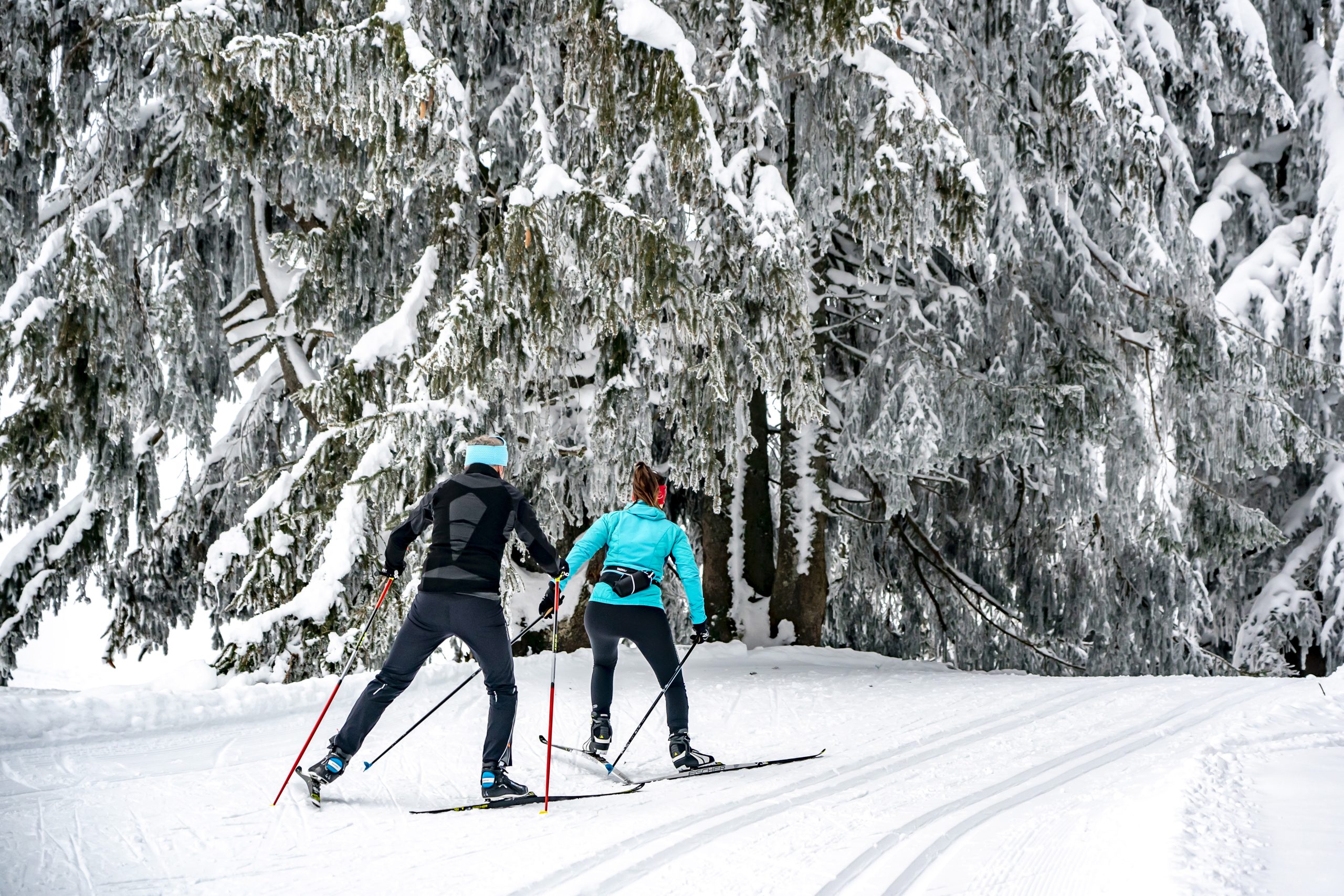 Ski de fond : découvrez ce sport !