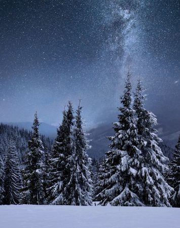 foret-crete-montagne-couverte-neige-voie-lactee-dans-ciel-etoile-nuit-hiver-noel